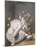 Carding Cotton from 'Voyages Aux Indes Et a La Chine', 1782 (Coloured Engraving)-Pierre Sonnerat-Mounted Giclee Print