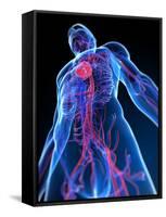 Cardiovascular System, Artwork-SCIEPRO-Framed Stretched Canvas