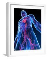 Cardiovascular System, Artwork-SCIEPRO-Framed Photographic Print