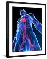 Cardiovascular System, Artwork-SCIEPRO-Framed Photographic Print