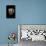 Carditella Laticosta-Paul Starosta-Framed Stretched Canvas displayed on a wall