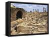 Cardo Maximus, Bosra, Syria, Middle East-Ken Gillham-Framed Stretched Canvas