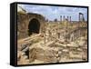 Cardo Maximus, Bosra, Syria, Middle East-Ken Gillham-Framed Stretched Canvas