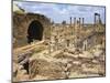 Cardo Maximus, Bosra, Syria, Middle East-Ken Gillham-Mounted Photographic Print