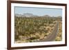 Cardon cacti by main road down Baja California, near Loreto, Mexico, North America-Tony Waltham-Framed Photographic Print