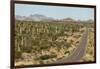 Cardon cacti by main road down Baja California, near Loreto, Mexico, North America-Tony Waltham-Framed Photographic Print