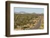 Cardon cacti by main road down Baja California, near Loreto, Mexico, North America-Tony Waltham-Framed Photographic Print