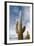 Cardon Cactus at Isla De Pescado, Bolivia-javarman-Framed Photographic Print