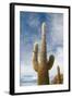 Cardon Cactus at Isla De Pescado, Bolivia-javarman-Framed Photographic Print