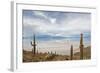 Cardon Cactus at Isla De Pescado, Bolivia-javarman-Framed Photographic Print