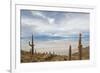 Cardon Cactus at Isla De Pescado, Bolivia-javarman-Framed Photographic Print