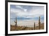 Cardon Cactus at Isla De Pescado, Bolivia-javarman-Framed Photographic Print