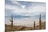 Cardon Cactus at Isla De Pescado, Bolivia-javarman-Mounted Photographic Print