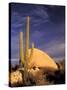 Cardon Cactus, Catavina Desert National Reserve, Baja del Norte, Mexico-Gavriel Jecan-Stretched Canvas