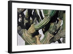 Cardon Cactus in Baja California, 2004-Pedro Diego Alvarado-Framed Giclee Print