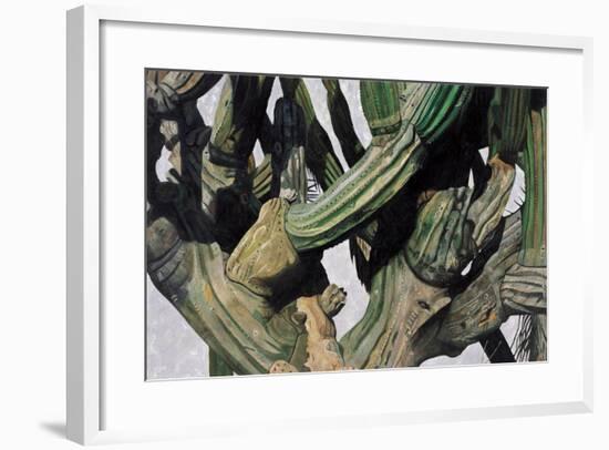Cardon Cactus in Baja California, 2004-Pedro Diego Alvarado-Framed Giclee Print