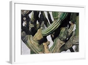 Cardon Cactus in Baja California, 2004-Pedro Diego Alvarado-Framed Giclee Print