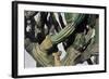 Cardon Cactus in Baja California, 2004-Pedro Diego Alvarado-Framed Giclee Print