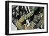 Cardon Cactus in Baja California, 2004-Pedro Diego Alvarado-Framed Premium Giclee Print