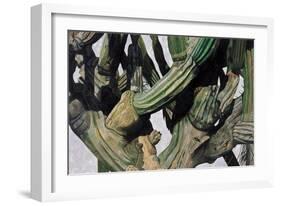 Cardon Cactus in Baja California, 2004-Pedro Diego Alvarado-Framed Giclee Print