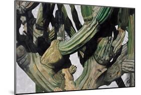 Cardon Cactus in Baja California, 2004-Pedro Diego Alvarado-Mounted Giclee Print