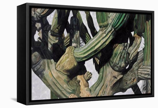 Cardon Cactus in Baja California, 2004-Pedro Diego Alvarado-Framed Stretched Canvas