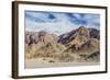 Cardon Cactus on the Western Side of Isla Angel De La Guarda, Gulf of California, Baja California-Michael Nolan-Framed Photographic Print