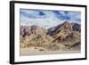 Cardon Cactus on the Western Side of Isla Angel De La Guarda, Gulf of California, Baja California-Michael Nolan-Framed Photographic Print