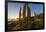 Cardon Cactus (Pachycereus Pringlei) at Sunset on Isla Santa Catalina, Baja California Sur, Mexico-Michael Nolan-Framed Photographic Print