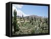 Cardones Growing in the Altiplano Desert Near Tilcara, Jujuy, Argentina, South America-Lousie Murray-Framed Stretched Canvas