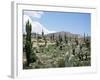 Cardones Growing in the Altiplano Desert Near Tilcara, Jujuy, Argentina, South America-Lousie Murray-Framed Photographic Print