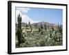 Cardones Growing in the Altiplano Desert Near Tilcara, Jujuy, Argentina, South America-Lousie Murray-Framed Photographic Print