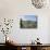 Cardones Growing in the Altiplano Desert Near Tilcara, Jujuy, Argentina, South America-Lousie Murray-Mounted Photographic Print displayed on a wall