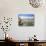 Cardones Growing in the Desert at 3000 Metres, Near Alfarcito, Jujuy, Argentina, South America-Lousie Murray-Stretched Canvas displayed on a wall