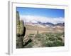 Cardones Growing in the Desert at 3000 Metres, Near Alfarcito, Jujuy, Argentina, South America-Lousie Murray-Framed Photographic Print