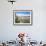 Cardones Growing in the Desert at 3000 Metres, Near Alfarcito, Jujuy, Argentina, South America-Lousie Murray-Framed Photographic Print displayed on a wall