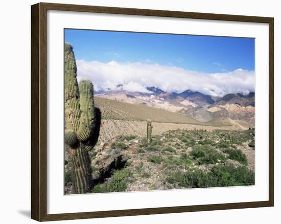 Cardones Growing in the Desert at 3000 Metres, Near Alfarcito, Jujuy, Argentina, South America-Lousie Murray-Framed Photographic Print