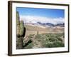 Cardones Growing in the Desert at 3000 Metres, Near Alfarcito, Jujuy, Argentina, South America-Lousie Murray-Framed Photographic Print
