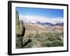 Cardones Growing in the Desert at 3000 Metres, Near Alfarcito, Jujuy, Argentina, South America-Lousie Murray-Framed Photographic Print