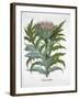 Cardoon, 1613-Unknown-Framed Giclee Print