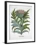 Cardoon, 1613-Unknown-Framed Giclee Print