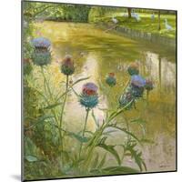 Cardoons Against the Moat-Timothy Easton-Mounted Giclee Print