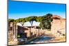 Cardus, Ostia Antica archaeological site, Ostia, Rome province, Latium (Lazio), Italy, Europe-Nico Tondini-Mounted Photographic Print