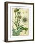 Cardus-M^ P^ Verneuil-Framed Art Print