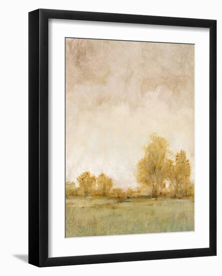 Carefree Day I-Tim OToole-Framed Art Print