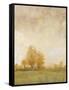 Carefree Day II-Tim OToole-Framed Stretched Canvas