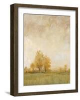 Carefree Day II-Tim OToole-Framed Art Print