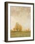 Carefree Day II-Tim OToole-Framed Art Print