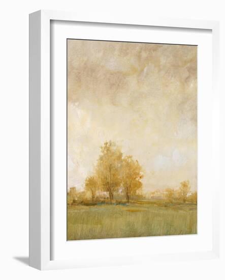 Carefree Day II-Tim OToole-Framed Art Print