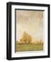 Carefree Day II-Tim OToole-Framed Art Print